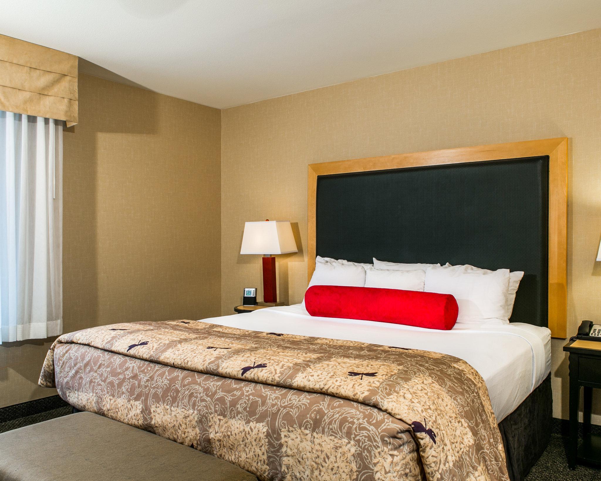 Cambria Hotel Ft Collins Fort Collins Eksteriør billede
