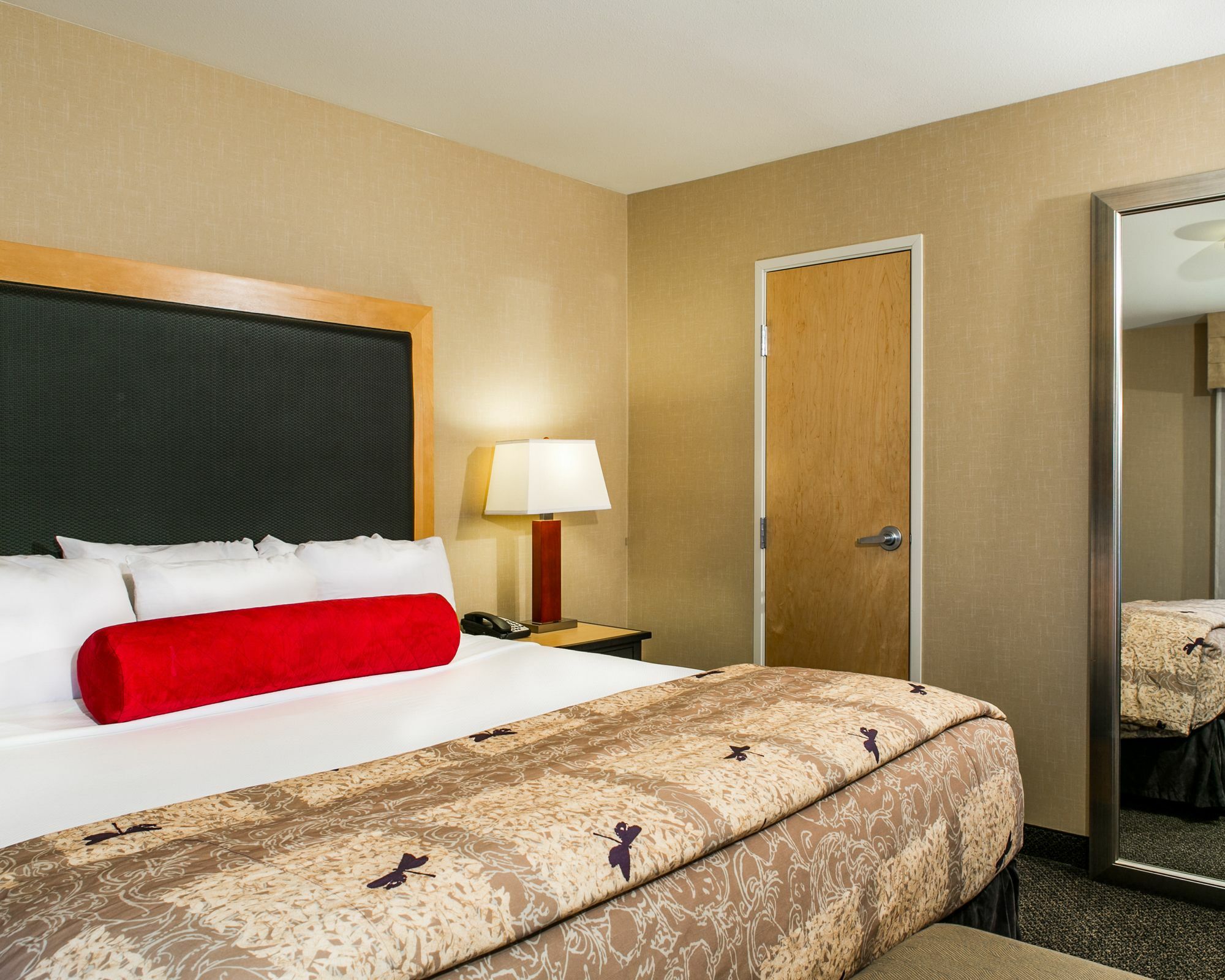 Cambria Hotel Ft Collins Fort Collins Eksteriør billede