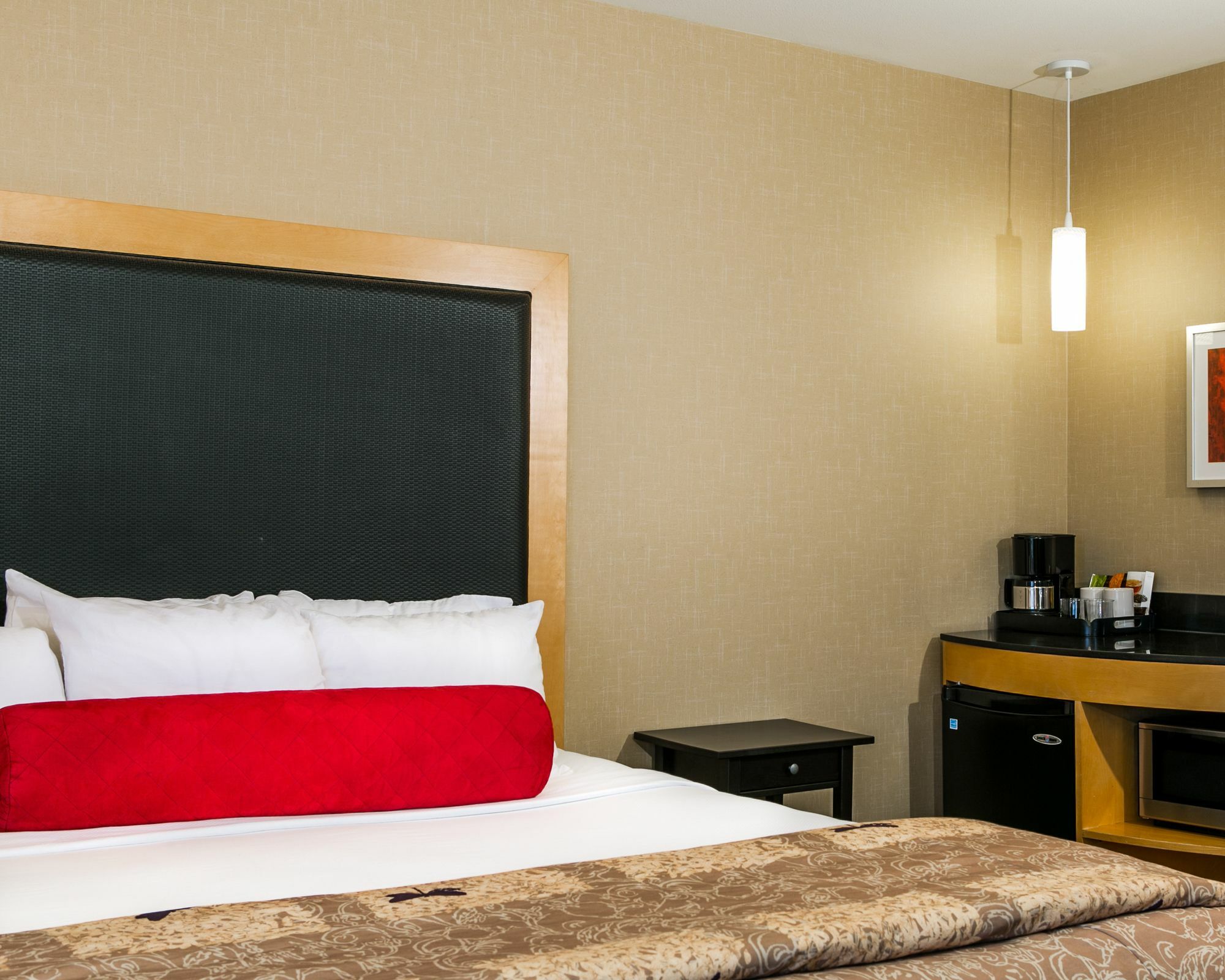 Cambria Hotel Ft Collins Fort Collins Eksteriør billede